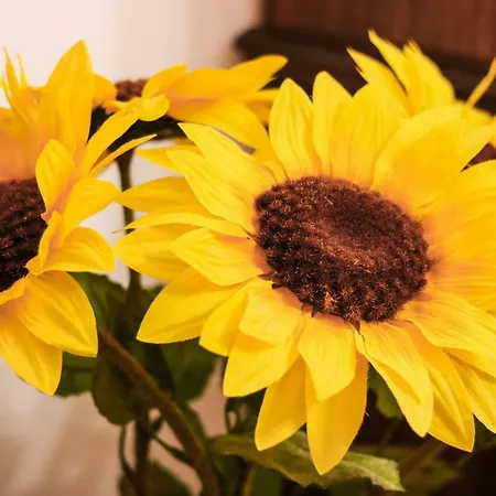 Apartment Aroma Garden San Vito Lo Capo